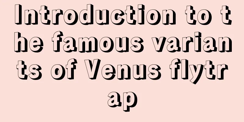 Introduction to the famous variants of Venus flytrap