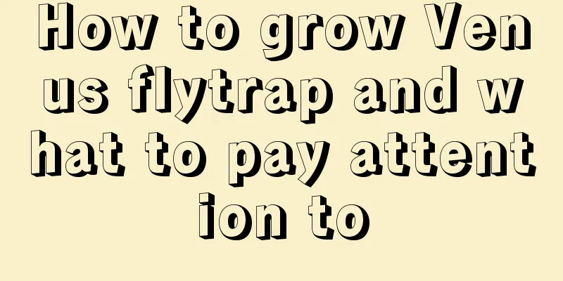 How to grow Venus flytrap and what to pay attention to