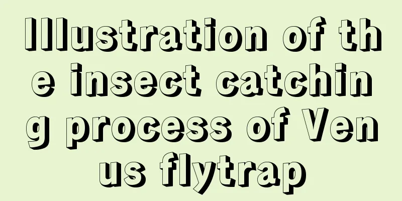 Illustration of the insect catching process of Venus flytrap