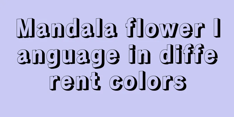 Mandala flower language in different colors