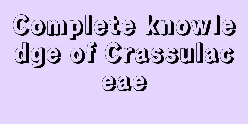 Complete knowledge of Crassulaceae