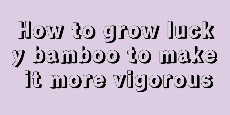 How to grow lucky bamboo to make it more vigorous