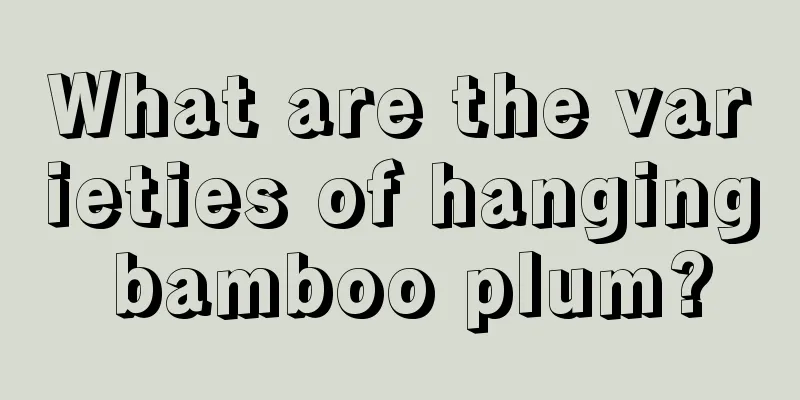 What are the varieties of hanging bamboo plum?