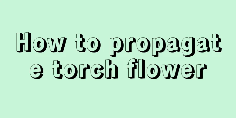 How to propagate torch flower