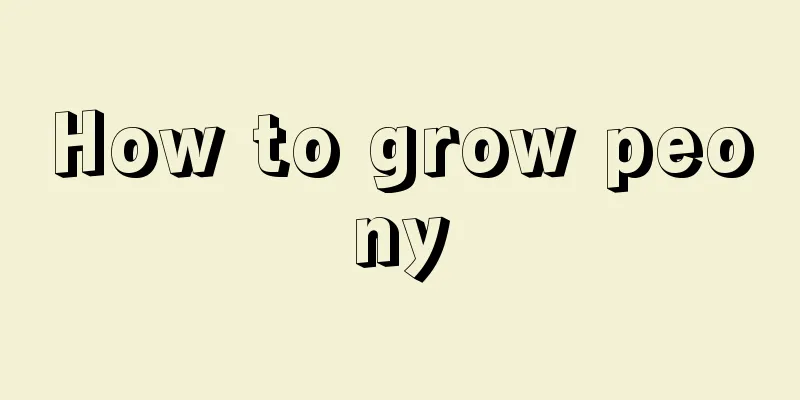 How to grow peony