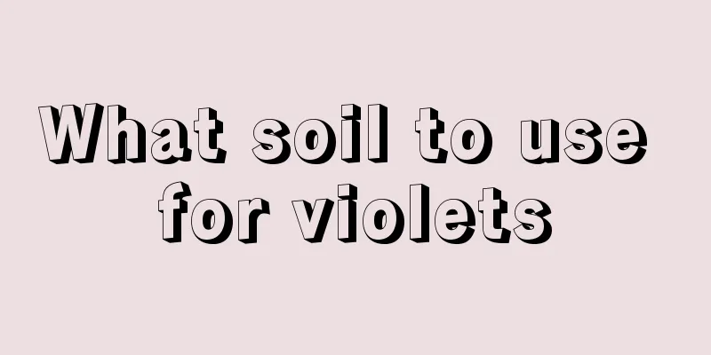 What soil to use for violets