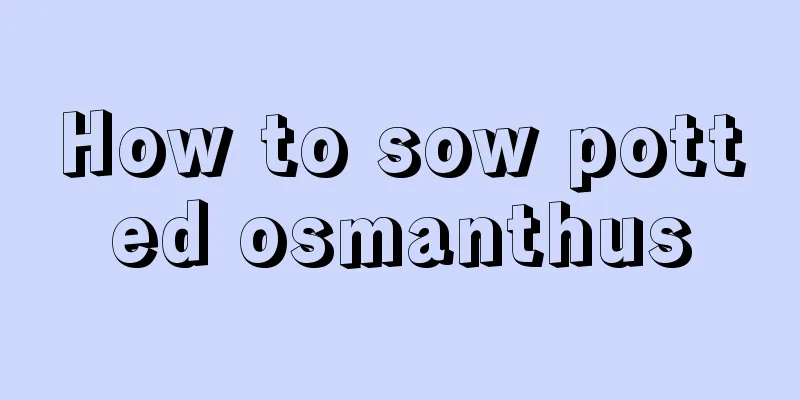 How to sow potted osmanthus