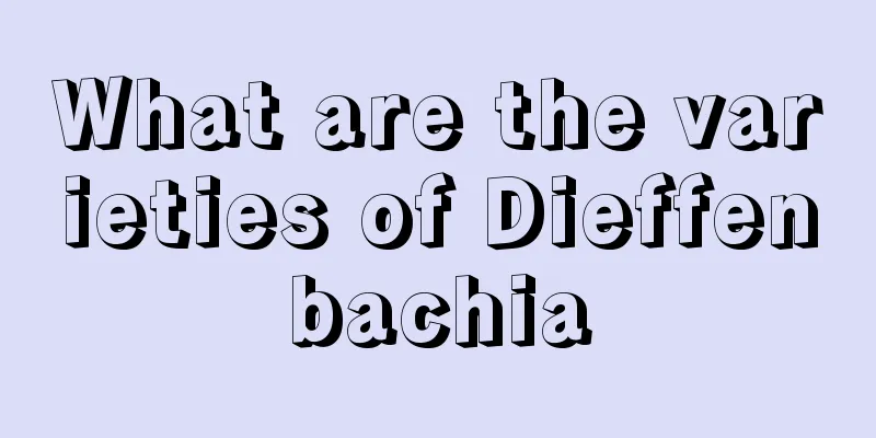 What are the varieties of Dieffenbachia