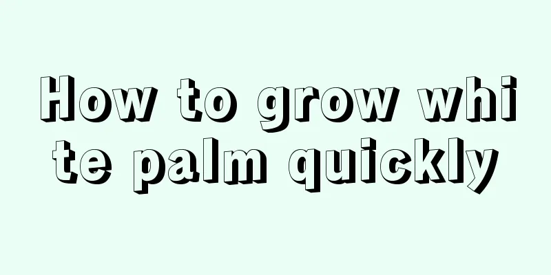 How to grow white palm quickly