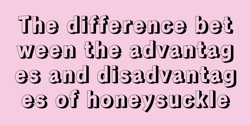 The difference between the advantages and disadvantages of honeysuckle