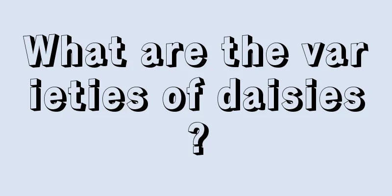 What are the varieties of daisies?