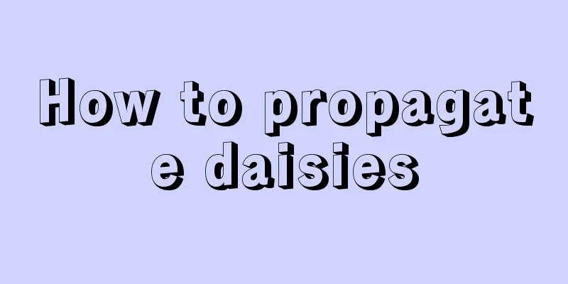 How to propagate daisies