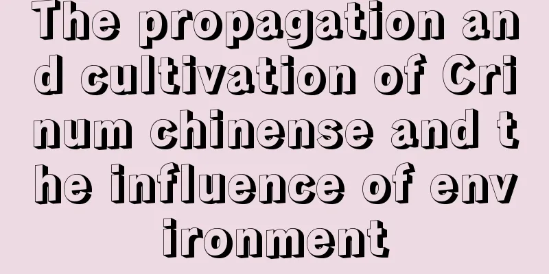 The propagation and cultivation of Crinum chinense and the influence of environment