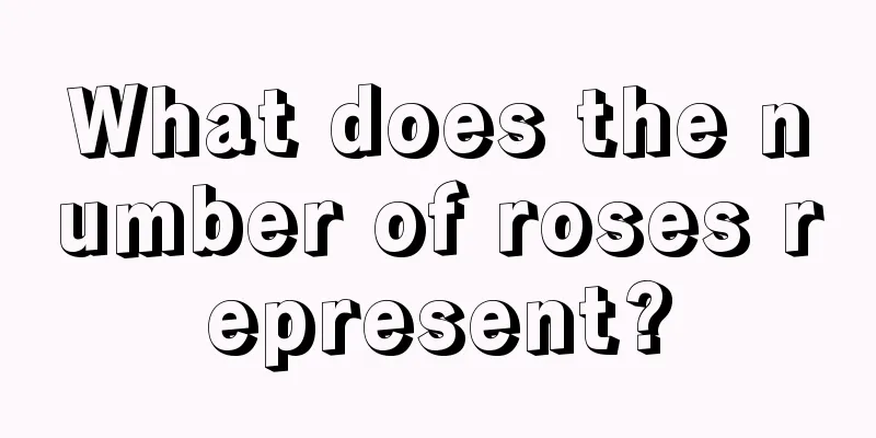 What does the number of roses represent?