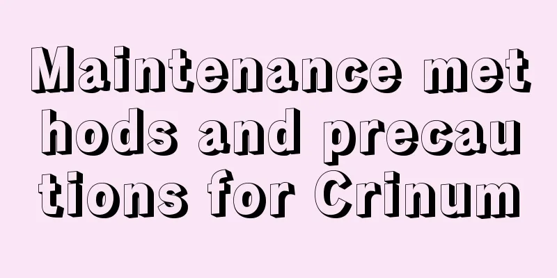 Maintenance methods and precautions for Crinum