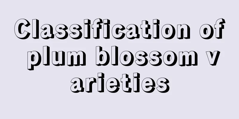 Classification of plum blossom varieties