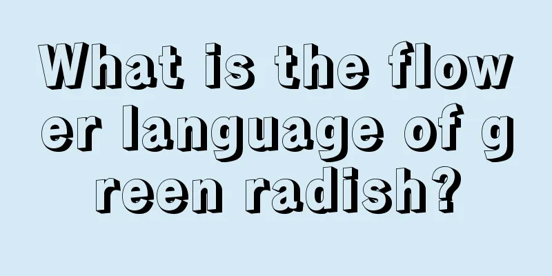 What is the flower language of green radish?