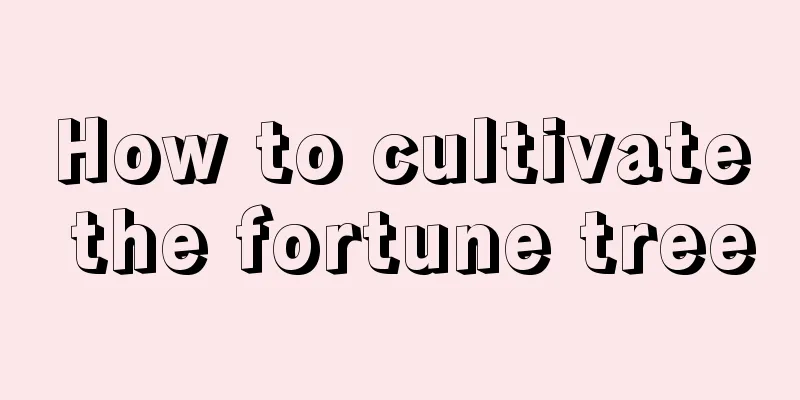 How to cultivate the fortune tree