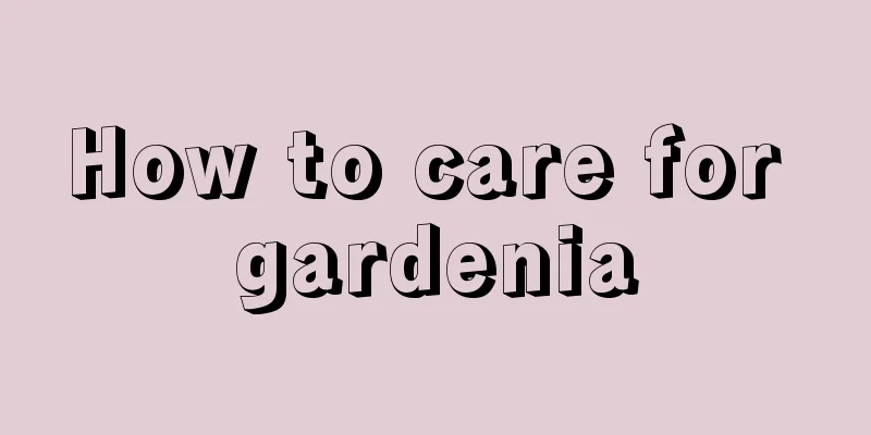 How to care for gardenia