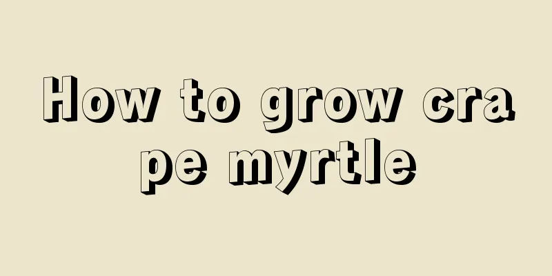 How to grow crape myrtle