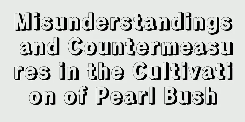 Misunderstandings and Countermeasures in the Cultivation of Pearl Bush