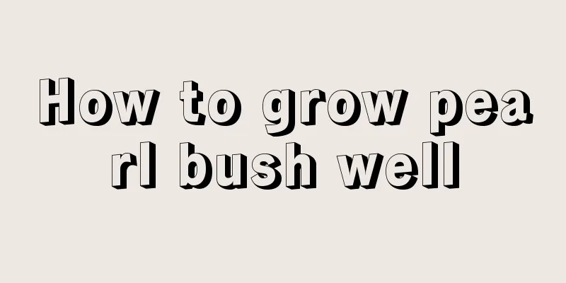 How to grow pearl bush well