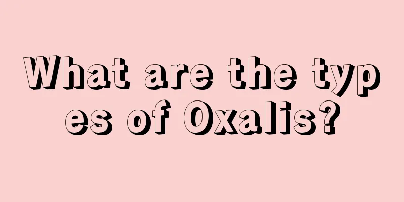 What are the types of Oxalis?