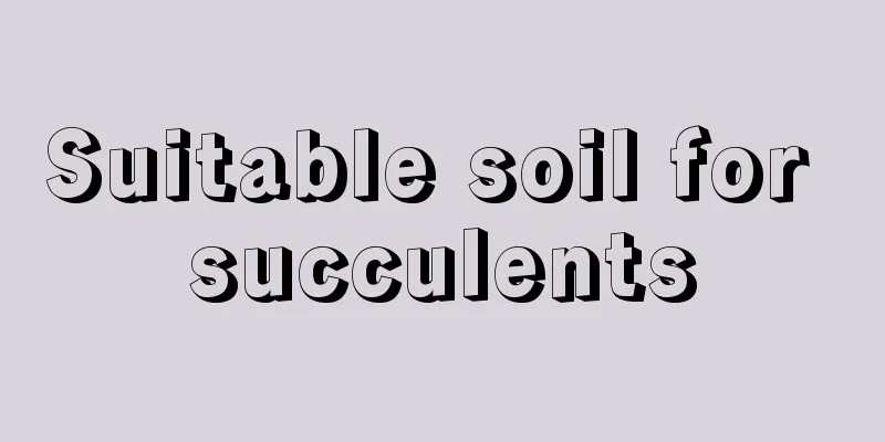 Suitable soil for succulents