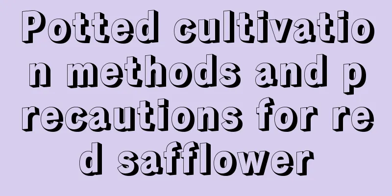 Potted cultivation methods and precautions for red safflower