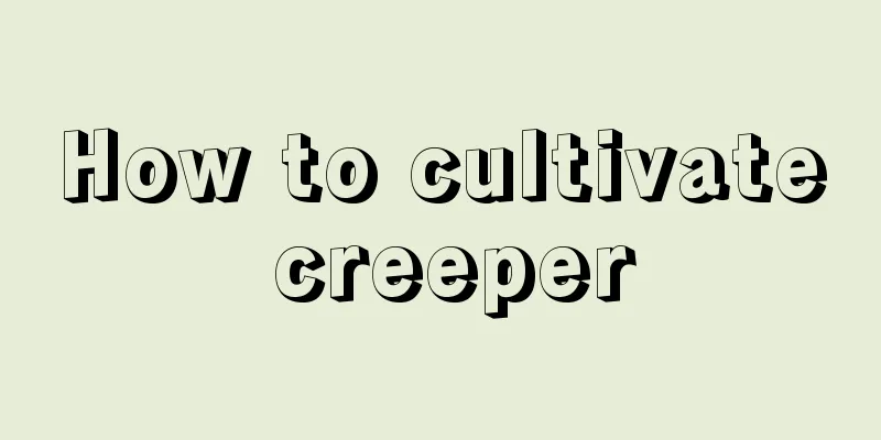 How to cultivate creeper