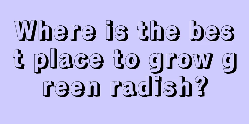 Where is the best place to grow green radish?