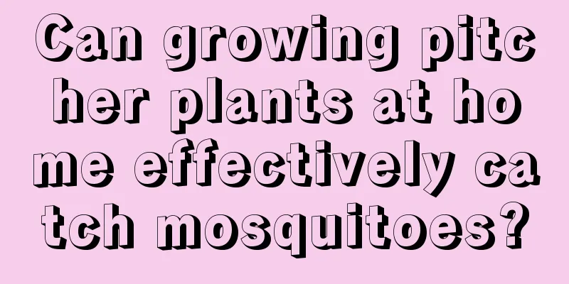 Can growing pitcher plants at home effectively catch mosquitoes?