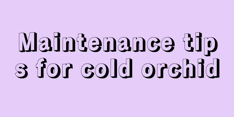 Maintenance tips for cold orchid