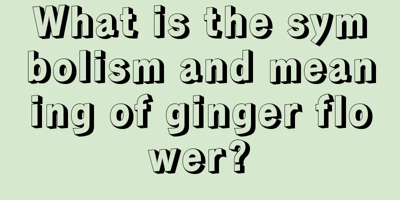 What is the symbolism and meaning of ginger flower?