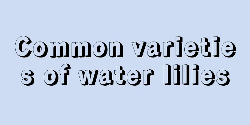 Common varieties of water lilies