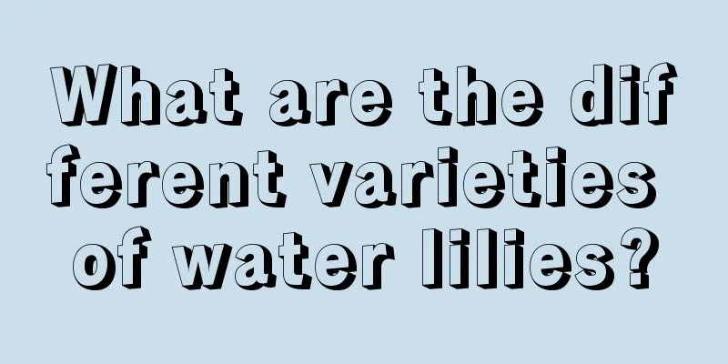 What are the different varieties of water lilies?