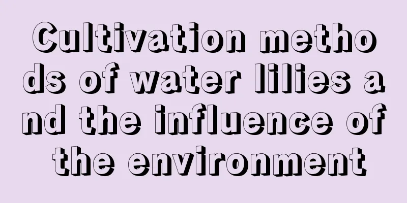 Cultivation methods of water lilies and the influence of the environment