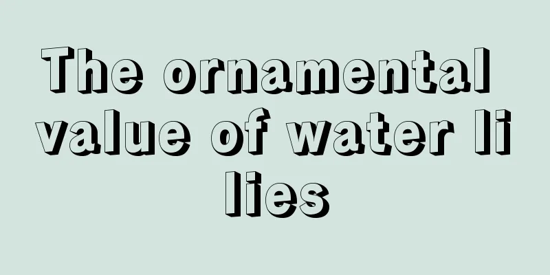 The ornamental value of water lilies