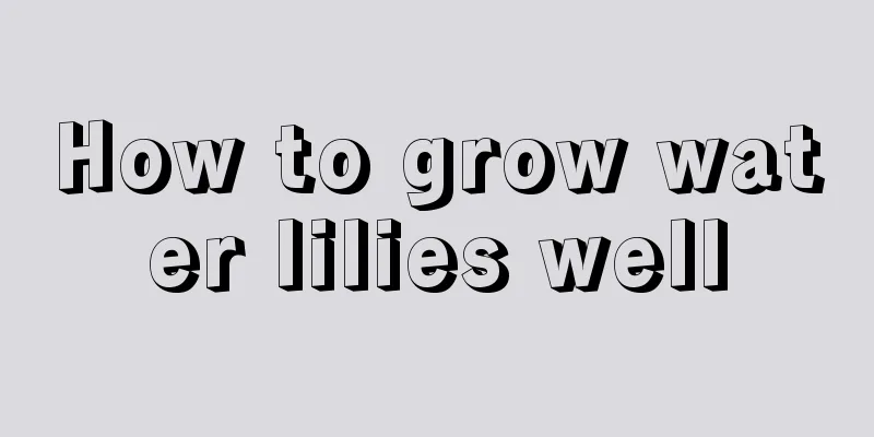 How to grow water lilies well