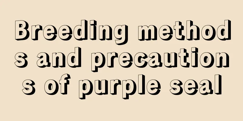 Breeding methods and precautions of purple seal