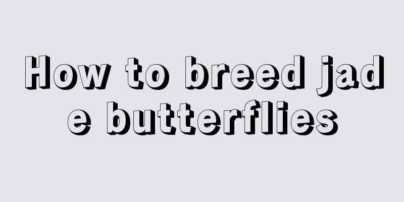 How to breed jade butterflies