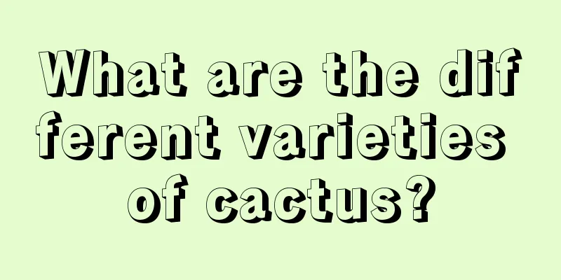 What are the different varieties of cactus?