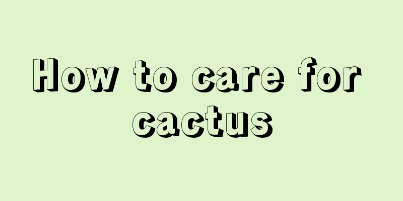 How to care for cactus