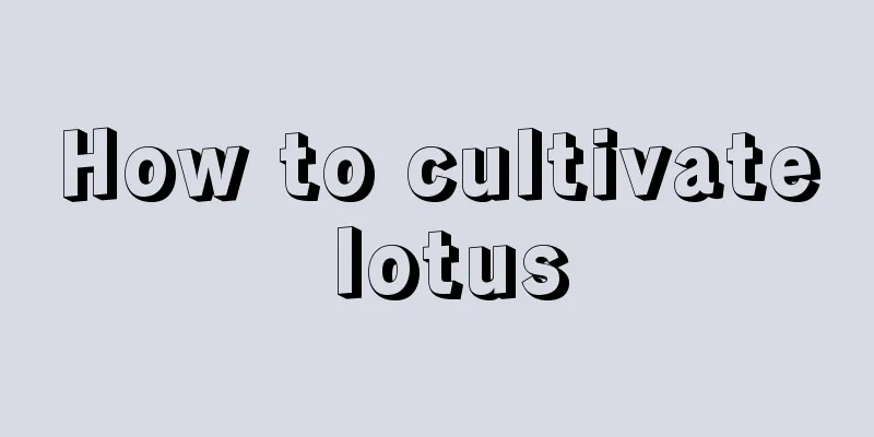 How to cultivate lotus