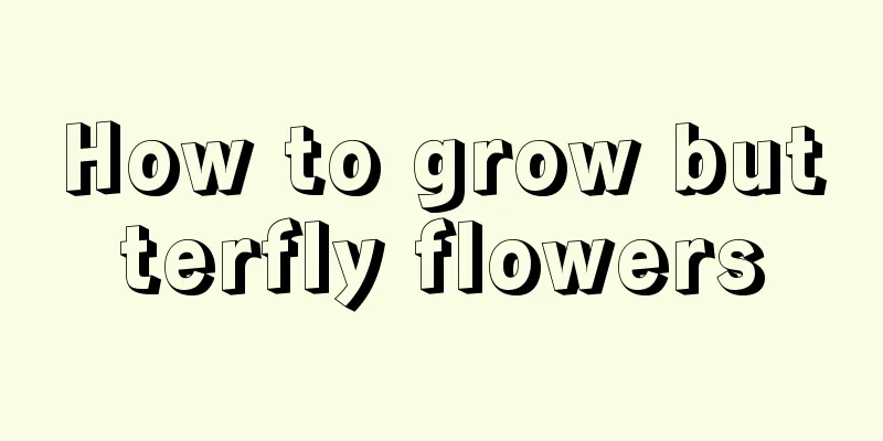 How to grow butterfly flowers