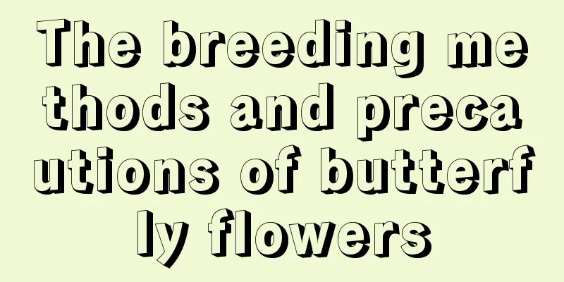 The breeding methods and precautions of butterfly flowers