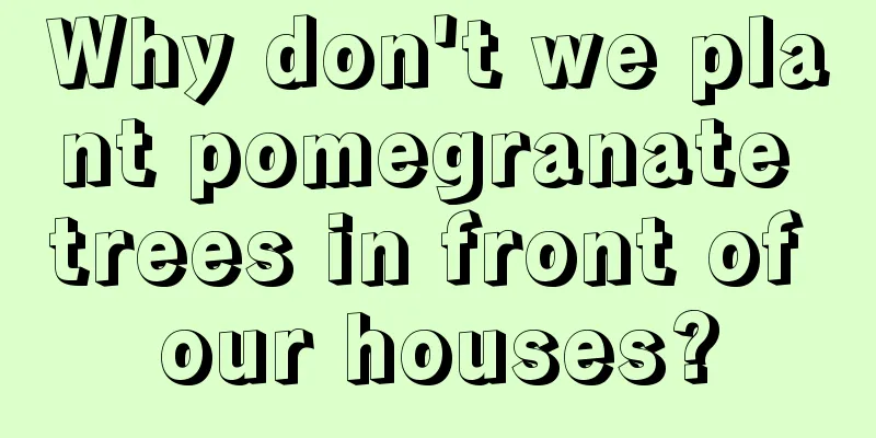 Why don't we plant pomegranate trees in front of our houses?