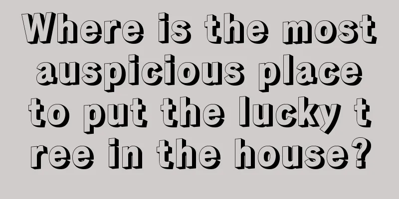 Where is the most auspicious place to put the lucky tree in the house?