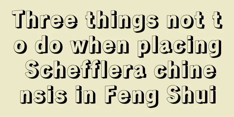 Three things not to do when placing Schefflera chinensis in Feng Shui