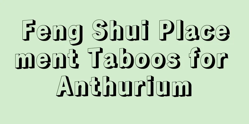 Feng Shui Placement Taboos for Anthurium